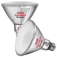 Solar Outdoor LED Lights